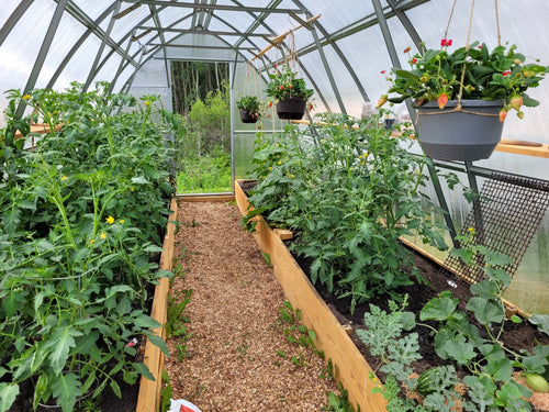 Greenhouse