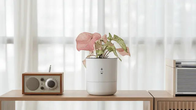 AI Smart Planter