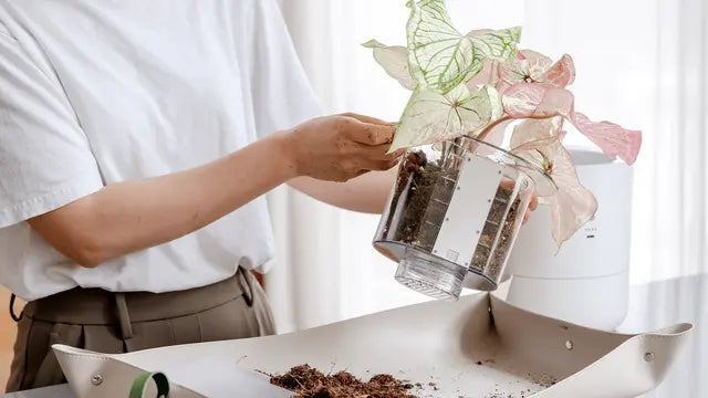 AI Smart Planter