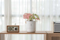 AI Smart Planter
