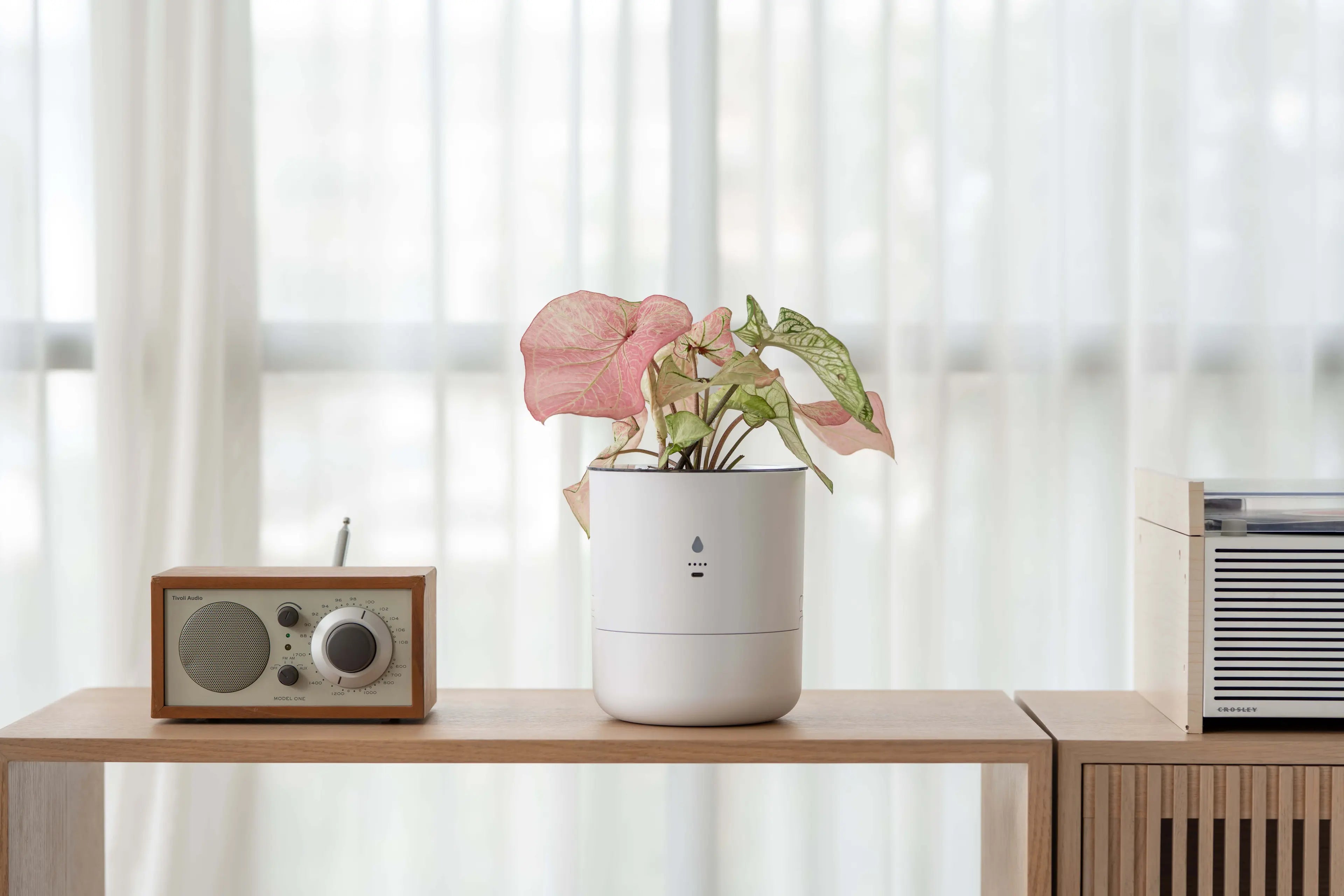 AI Smart Planter