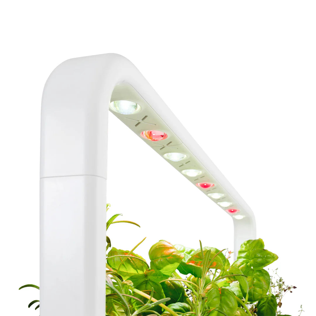 AI Auto Smart Garden With Light