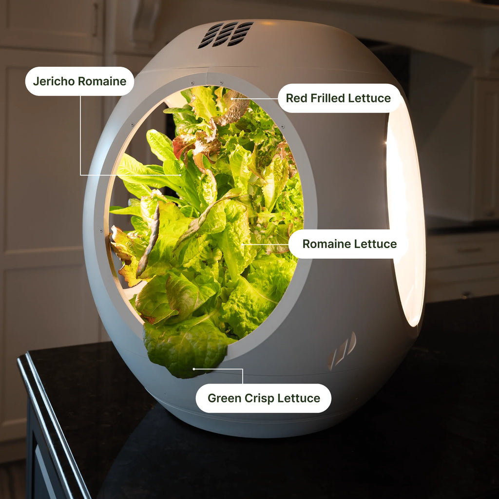 Smart Indoor Garden