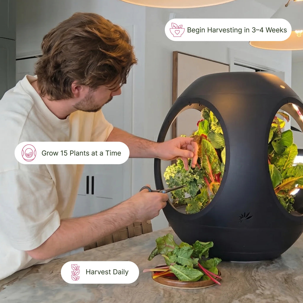 Smart Indoor Garden
