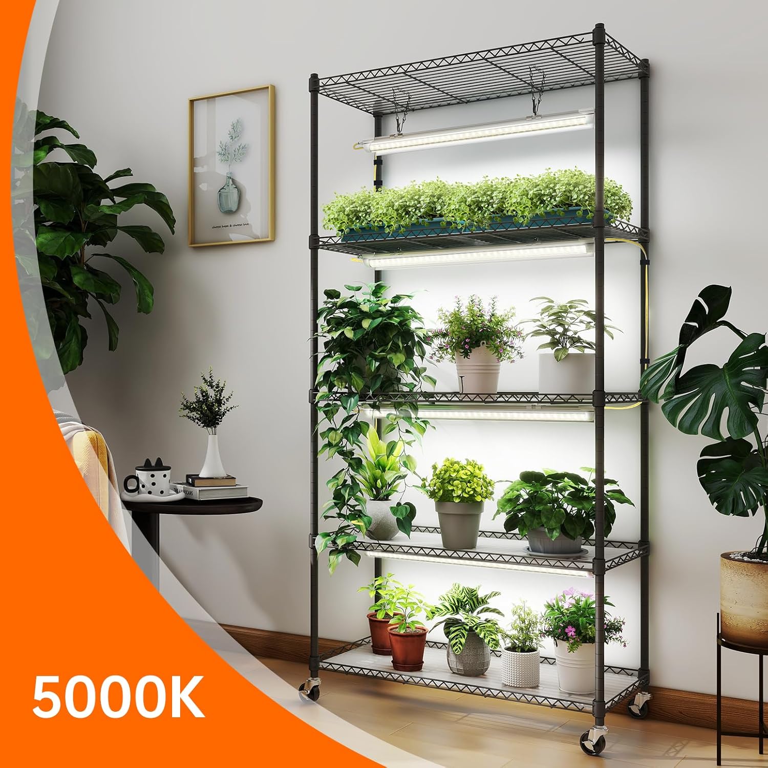 Grow Light Shelf with Timer