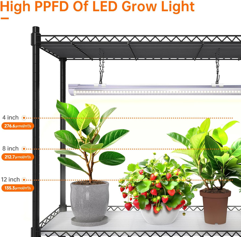 Grow Light Shelf with Timer